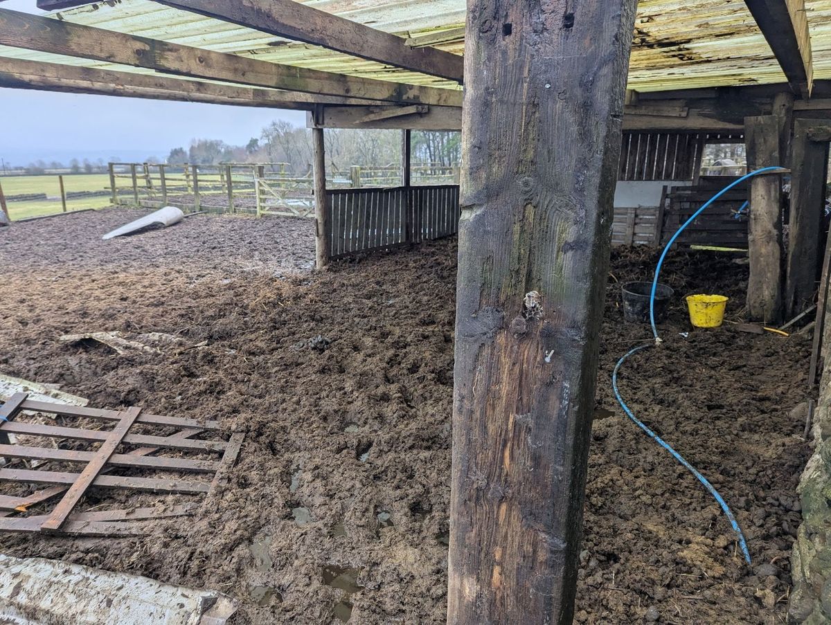 The outside living conditions for the horses