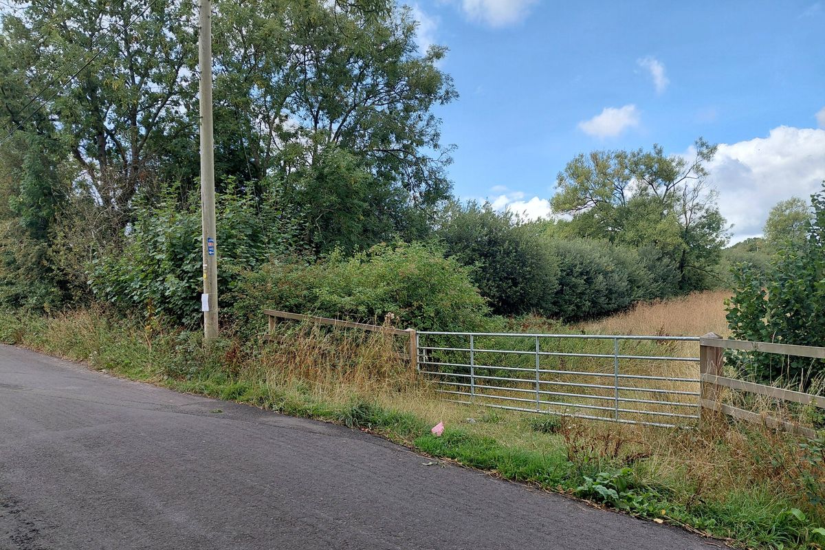 Planned site of 67 Homes on the A358 Furnham Road, seen from Chaffcombe Road. CREDIT: Daniel Mumby. Free to use for all BBC wire partners.