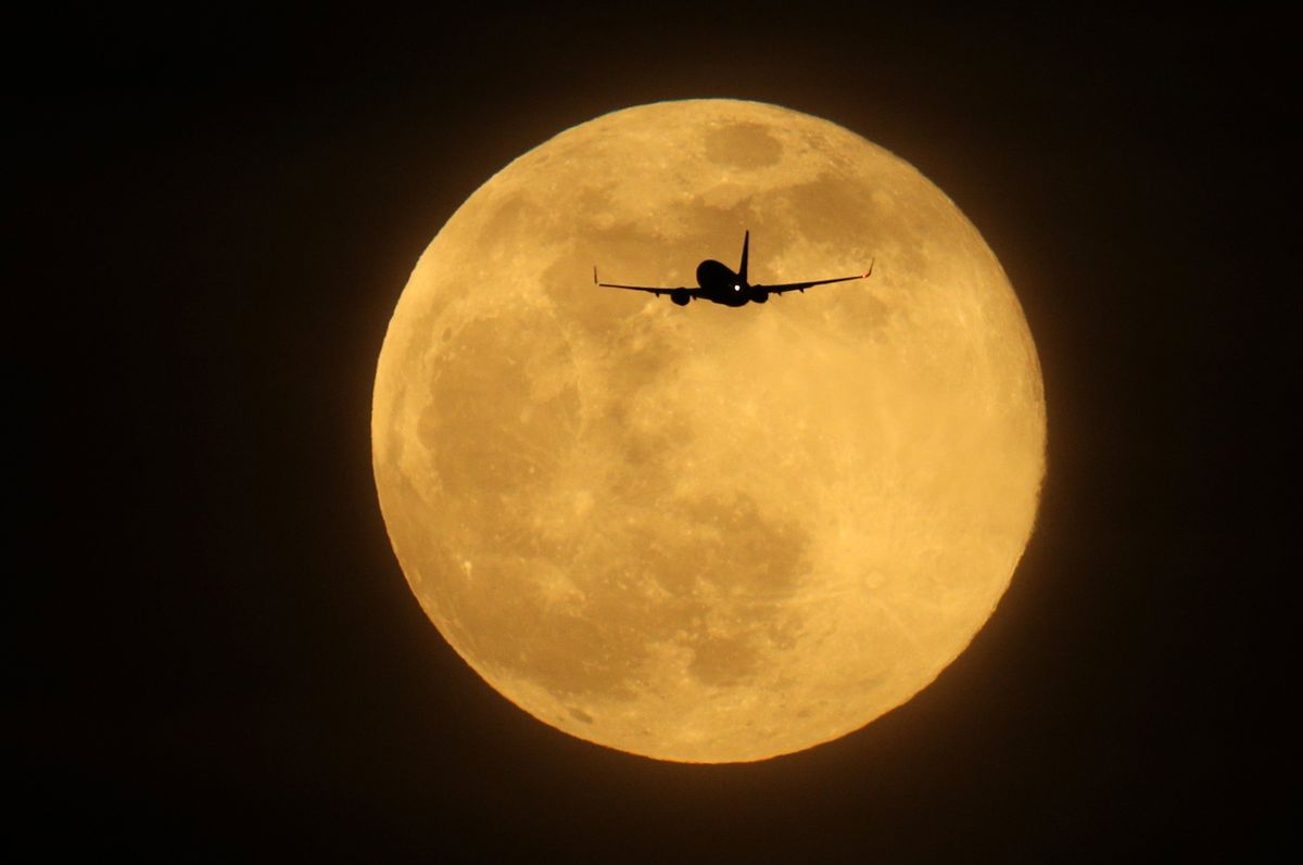 A plane flies in the sky in front of a large Supermoon
