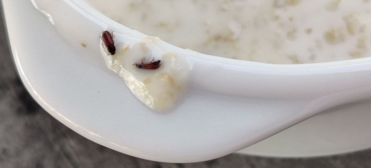 A photo taken by a holidaygoer at the Hotel Riu Palace Santa Maria