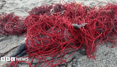 Wasim Hussain at Ragin' Bird in Leicester