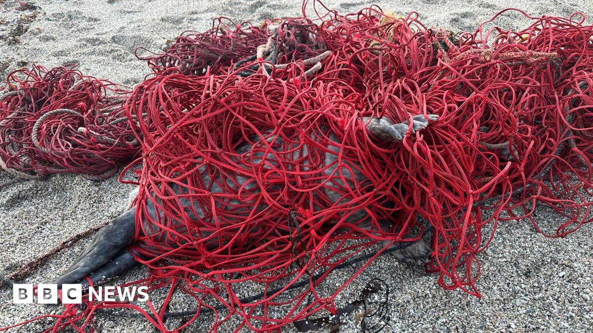 Wasim Hussain at Ragin' Bird in Leicester