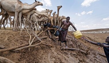 Drought in Kenya spreads beyond arid north