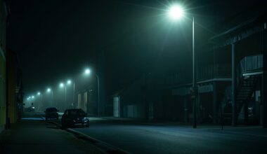 One study concluded that men with heavy exposure to outdoor ‘blue-rich’ LED lights, which councils have installed in their millions, have twice the risk of developing prostate cancer