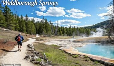 Tasmania Tours uploaded a now-deleted article encouraging travellers to visit the Weldborough Hot Springs (pictured, the AI-generated image) - which doesn't exist