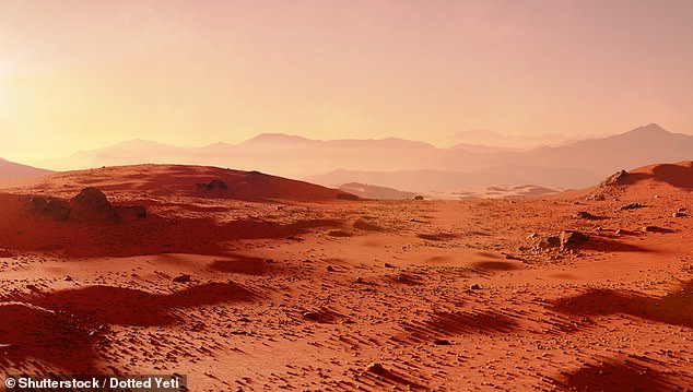 Solomon said if given the opportunity, he would love to visit Mars, but he would want to come back to Earth. A rendering of a Martian landscape is pictured