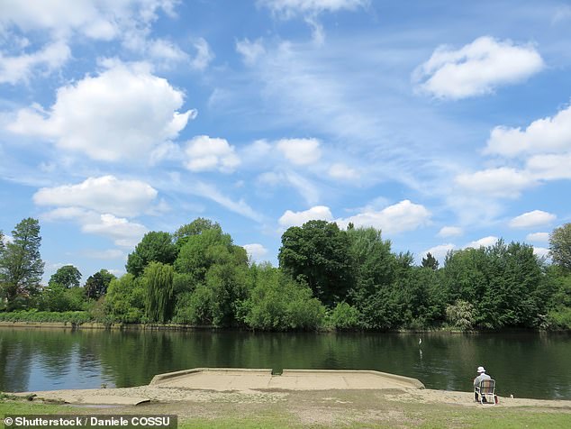 London locals see the possible Ham and Kingston bathing site (pictured) as a 'celebration' of the river and hope it will lead it to being a 'place for recreation'