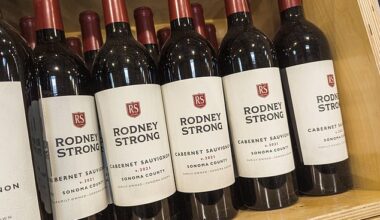 People who score high in agreeableness and openness tend to go for wines with a higher alcohol content, such as a Cabernet Sauvignon or Malbec, the researchers said (file image)