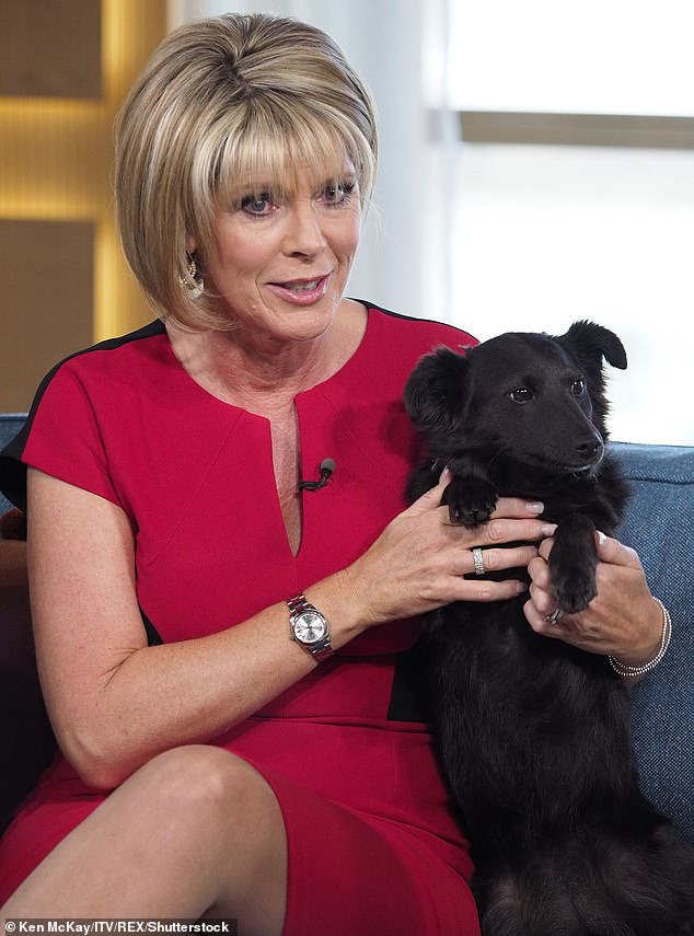 My adored border collie cross Maggie was snoozing in her bed and the day stretched out luxuriously in front of me with no plans. I realised that this feeling I had was contentment