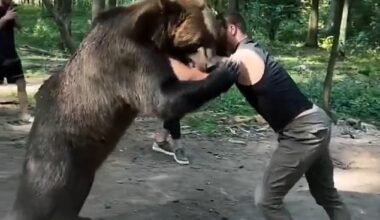 Makhmudov, who will face Tyson Fury at Tottenham Hotspur Stadium in April, can be seen wrestling the bear as it attempted to lock its jaw down on his arm in preparation for the bout