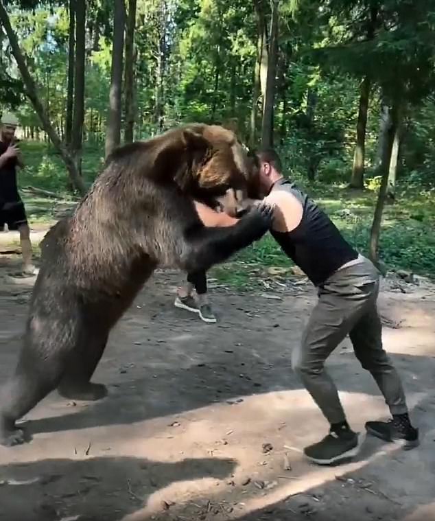 Makhmudov, who will face Tyson Fury at Tottenham Hotspur Stadium in April, can be seen wrestling the bear as it attempted to lock its jaw down on his arm in preparation for the bout