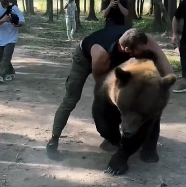 This is not the first time Makhmudov has wrestled a bear to prepare for a fight, having done so in August before his victory over David Allen to become the Inter-Continental heavyweight champion