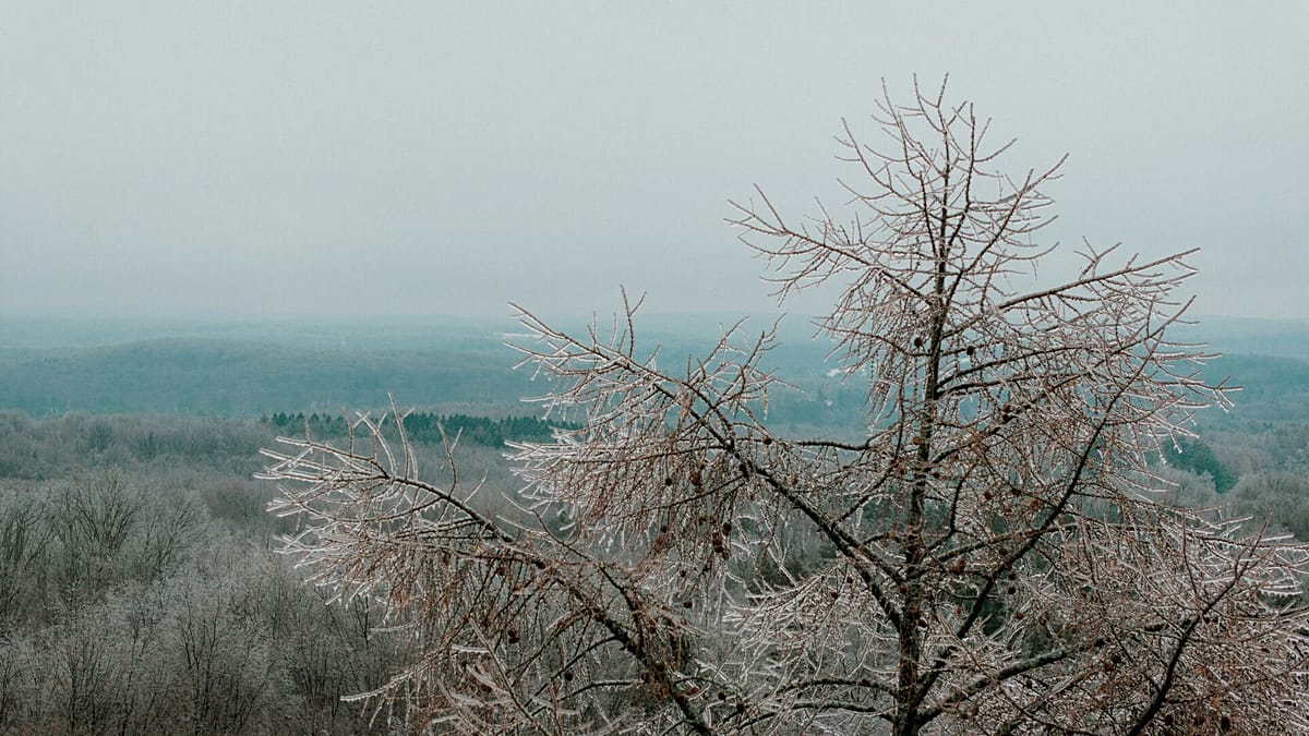 Cold Europe, burning south: January shows climate extremes at both ends of the planet