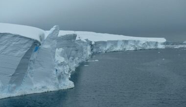 ‘Doomsday Glacier’ is melting faster than we thought. Can a 150-metre wall stop it flooding Earth?