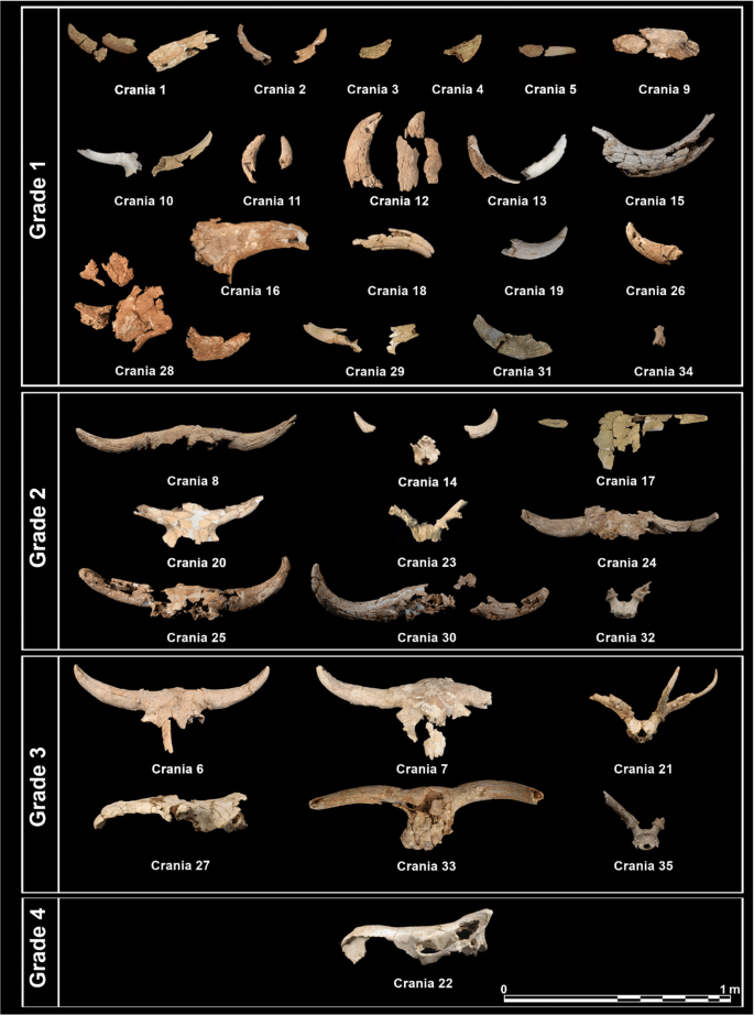 12520 2025 2382 Fig10 Html