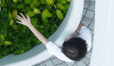 UK consultants launch asset owner-manager stewardship alignment tool | News