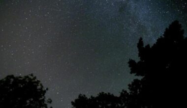 Six planets to be visible in night sky above Suffolk