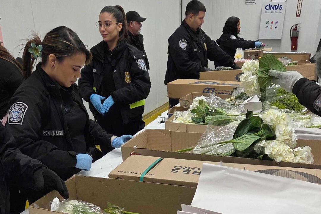 Our Valentine's Flowers Are Reliant on Miami