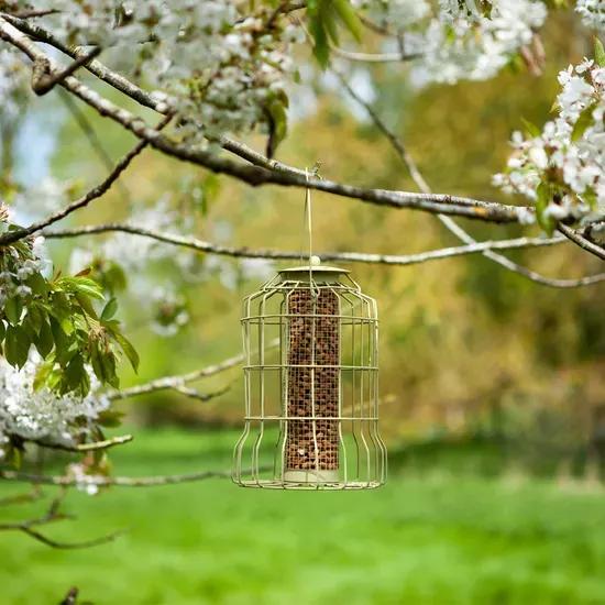 Chapelwood Squirrel Resistant Peanut Bird Feeder 