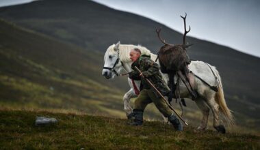 Sustained deer cull sees Scottish wilderness ‘come back to life’