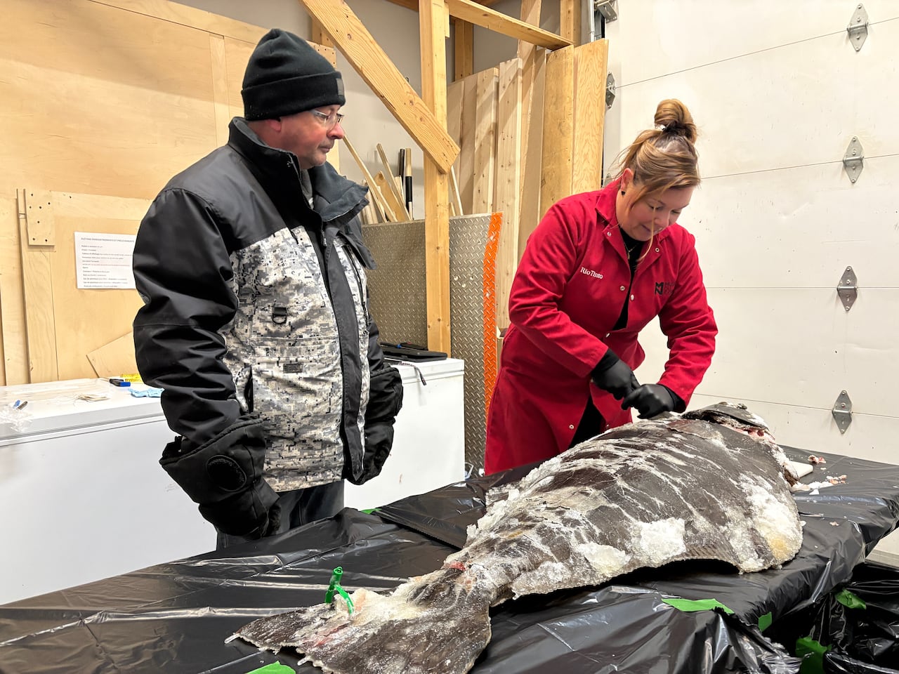 A woman cuts part of a halibut 