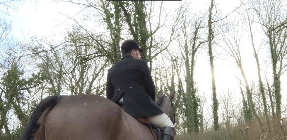 Blackmore and Sparkford Vale Hunt