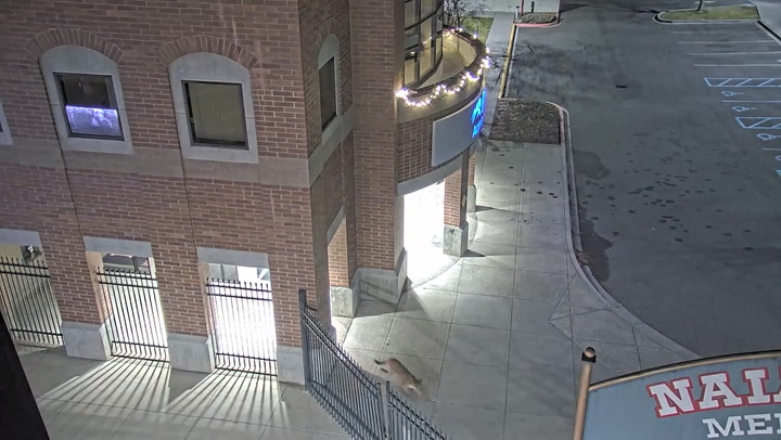 Video Player Placeholder