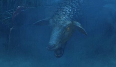 Reanimal Review (Switch 2) | Nintendo Life