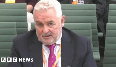 Civil service pension backlog 'overwhelmed' Capita, boss says - BBC