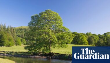 Race to find source of carcinogenic Pfas in Cumbria and Lancashire waters | Pfas