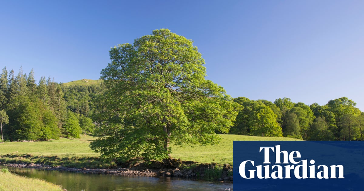 Race to find source of carcinogenic Pfas in Cumbria and Lancashire waters | Pfas