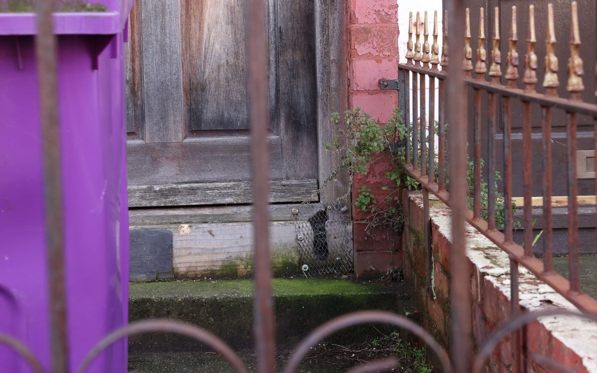 A rat hole in a doorstep on Gloucester Road, Tuebrook.