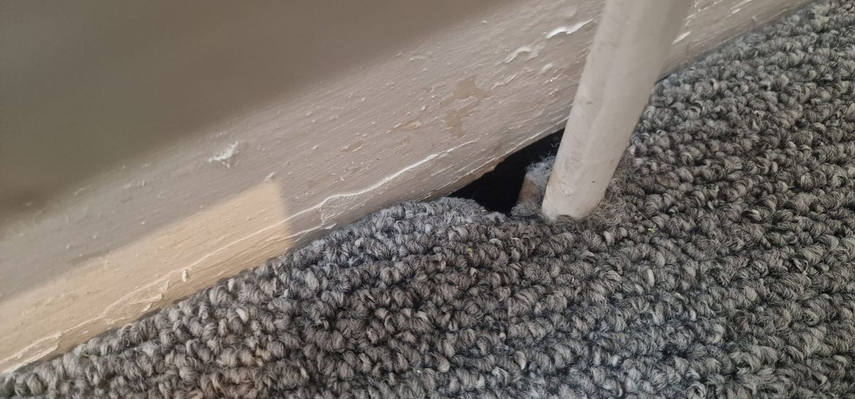 A rat entry hole at a flat on Alton Road in Tuebrook.