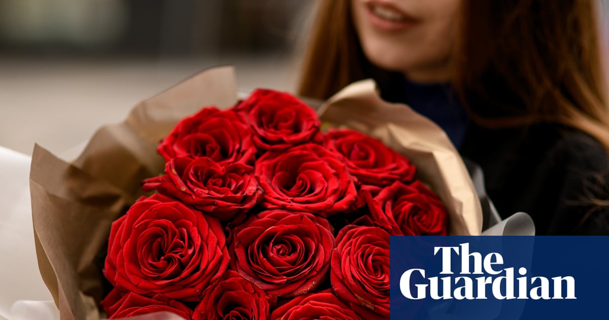 ‘Nothing says love like chemicals’: Valentine’s roses often covered in pesticides, testing finds | Valentine's Day