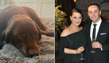 Lisa Armstrong shares news of heartbreaking loss as 'very upset' ex Ant McPartlin rushes to support