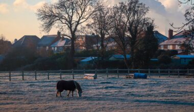 Nottinghamshire Live