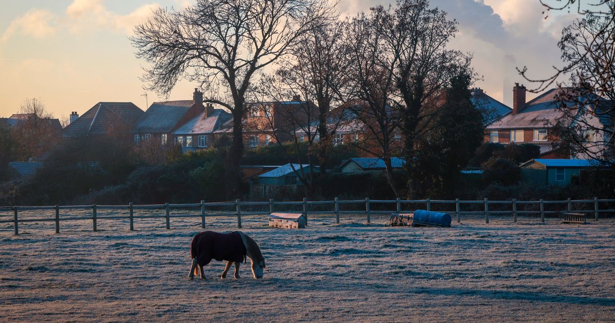 Nottinghamshire Live