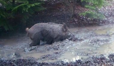 Gloucestershire Live