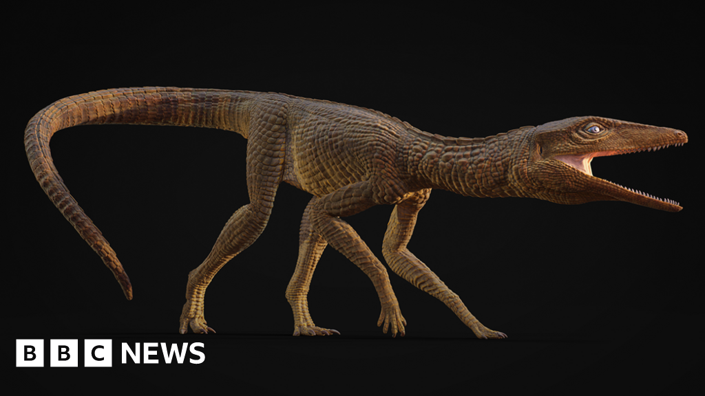 Ancient crocodile species named Jones after teacher from Cardigan - BBC