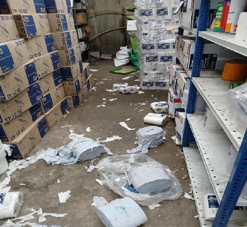 The storeroom after the fox had entered it