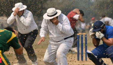 Umpire dies after a bee swarm attack during cricket match in Unnao