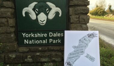 Three reforms to stop the criminal killing of birds of prey – new petition to UK Minister from Friends of the Dales – Raptor Persecution UK