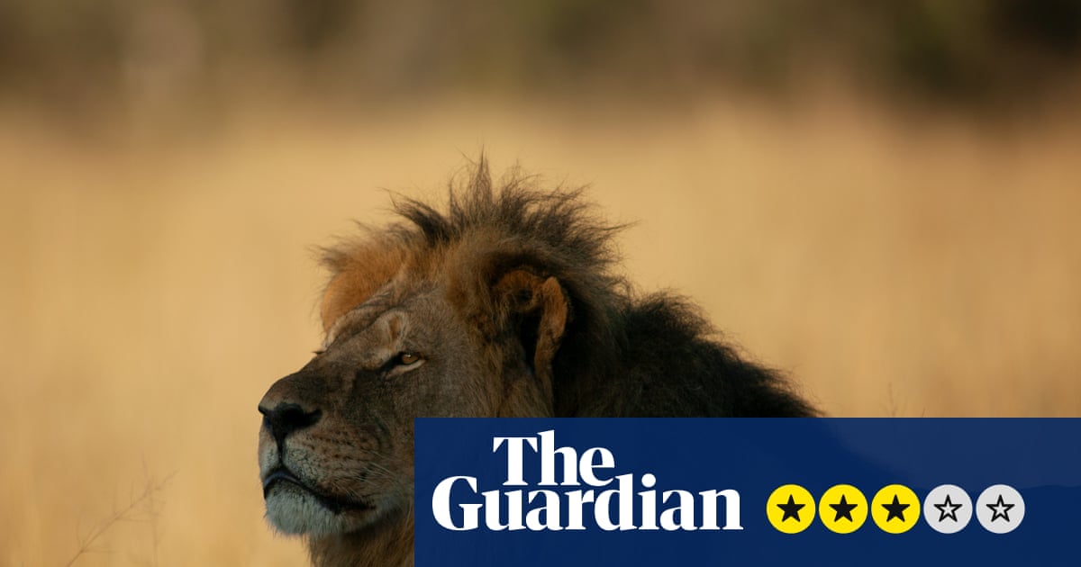 Cecil: The Lion and the Dentist review – inside the horrific big cat killing that outraged the world | Television