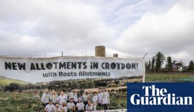 Cemented locks and deflated diggers: the war over privately run allotments | Allotments
