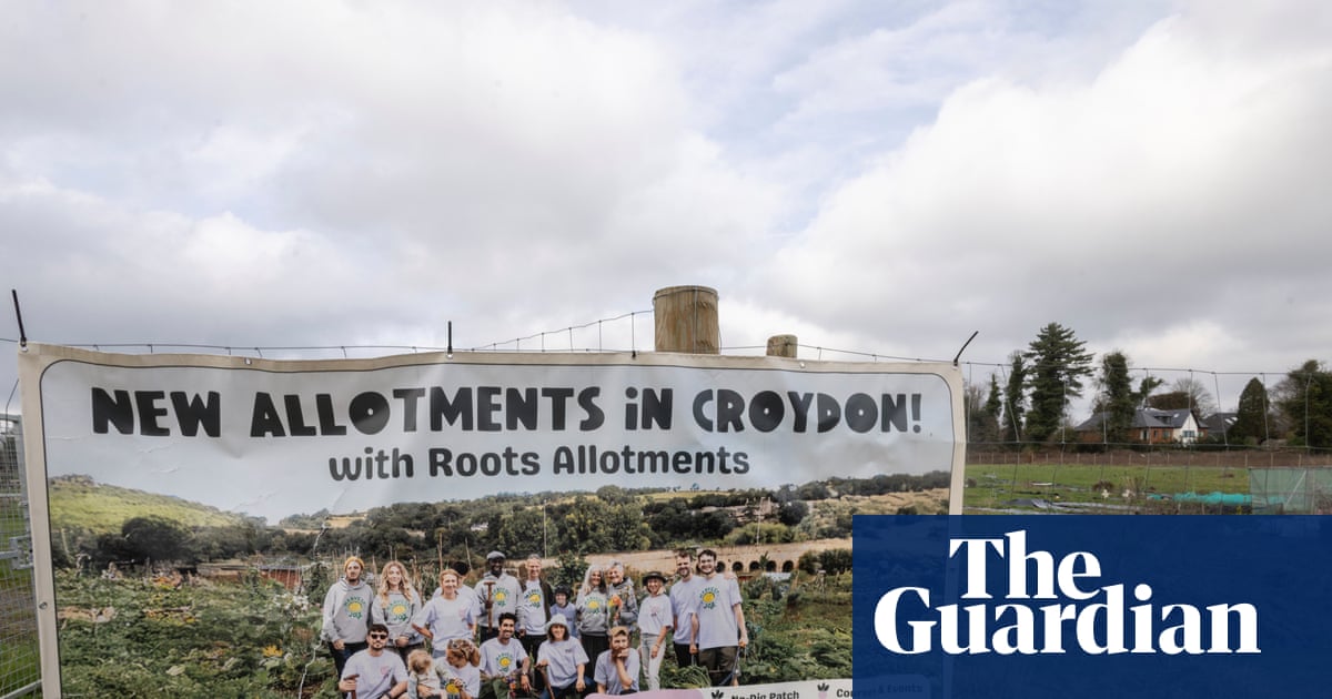 Cemented locks and deflated diggers: the war over privately run allotments | Allotments