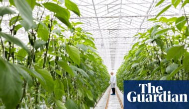 ‘Eye-watering numbers’: food producers sound alarm on rise in energy charges | Food & drink industry