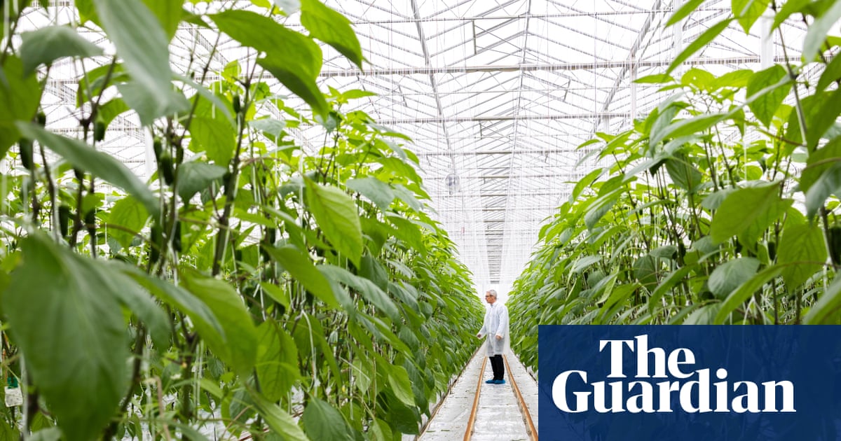 ‘Eye-watering numbers’: food producers sound alarm on rise in energy charges | Food & drink industry