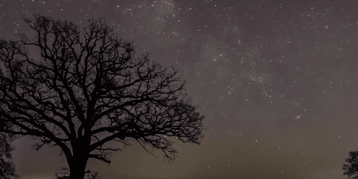 North Yorkshire celebrates rich stargazing tradition with Dark Skies Festival