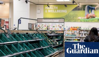 ‘Tinderbox’ UK may be one shock away from food riots, experts say | Food