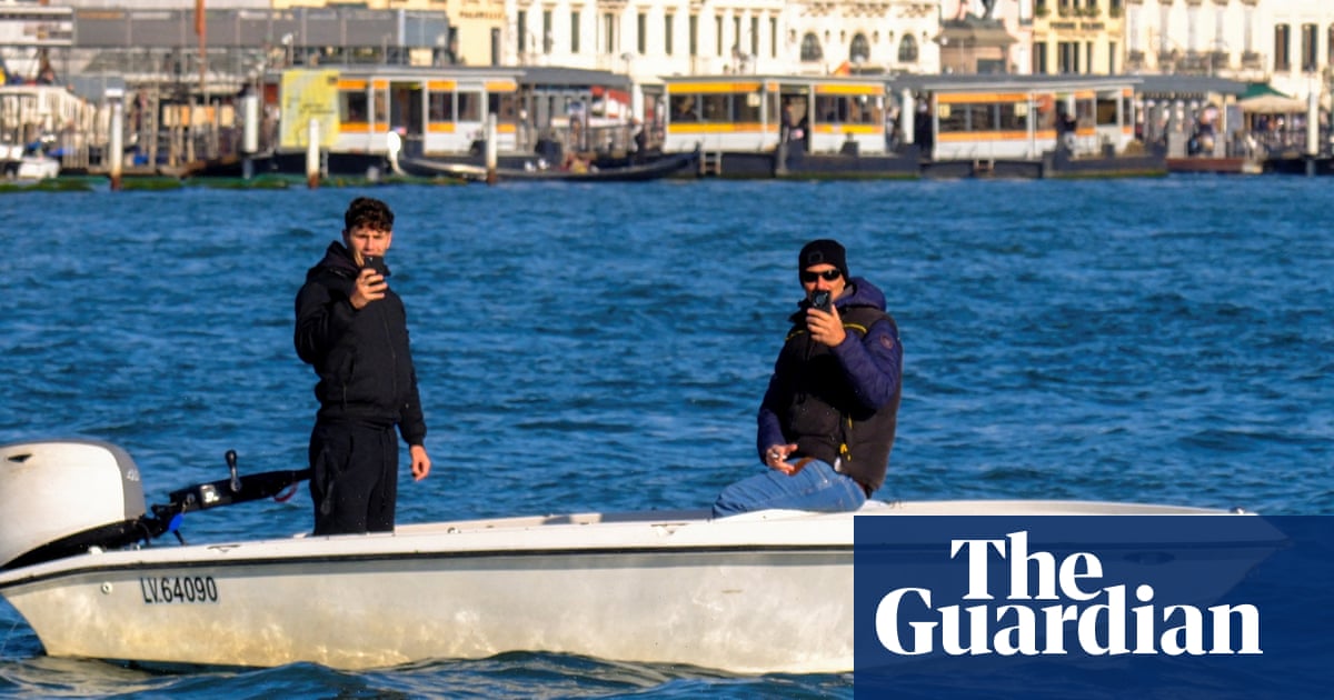 Humans – not Mimmo the dolphin – need managing in Venice lagoon, say scientists | Dolphins